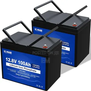 PHOEXY L12200 LiFePO4 (Lithium Iron Phosphate) Battery
