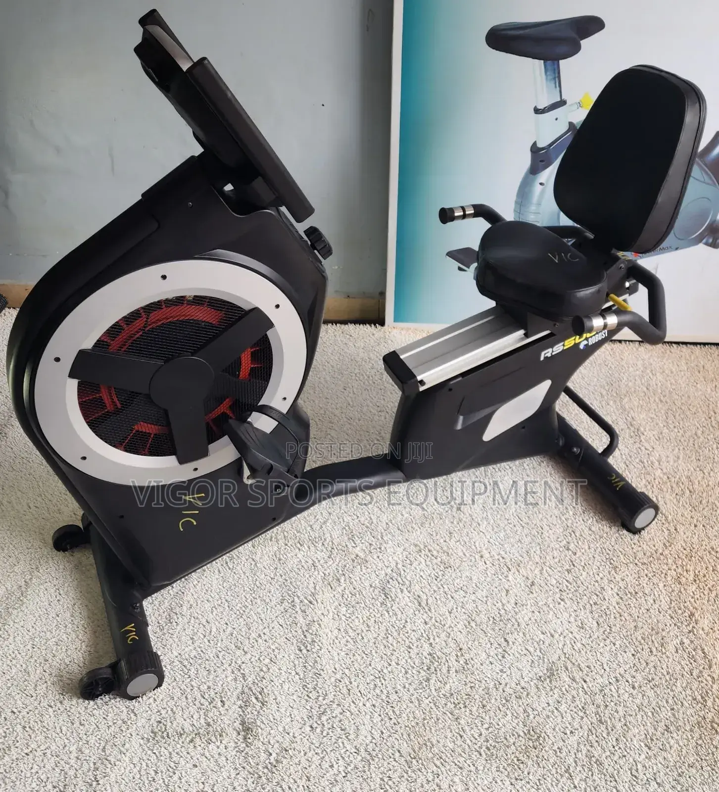 Vigor Recumbent Bike