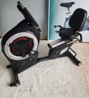 Vigor Recumbent Bike