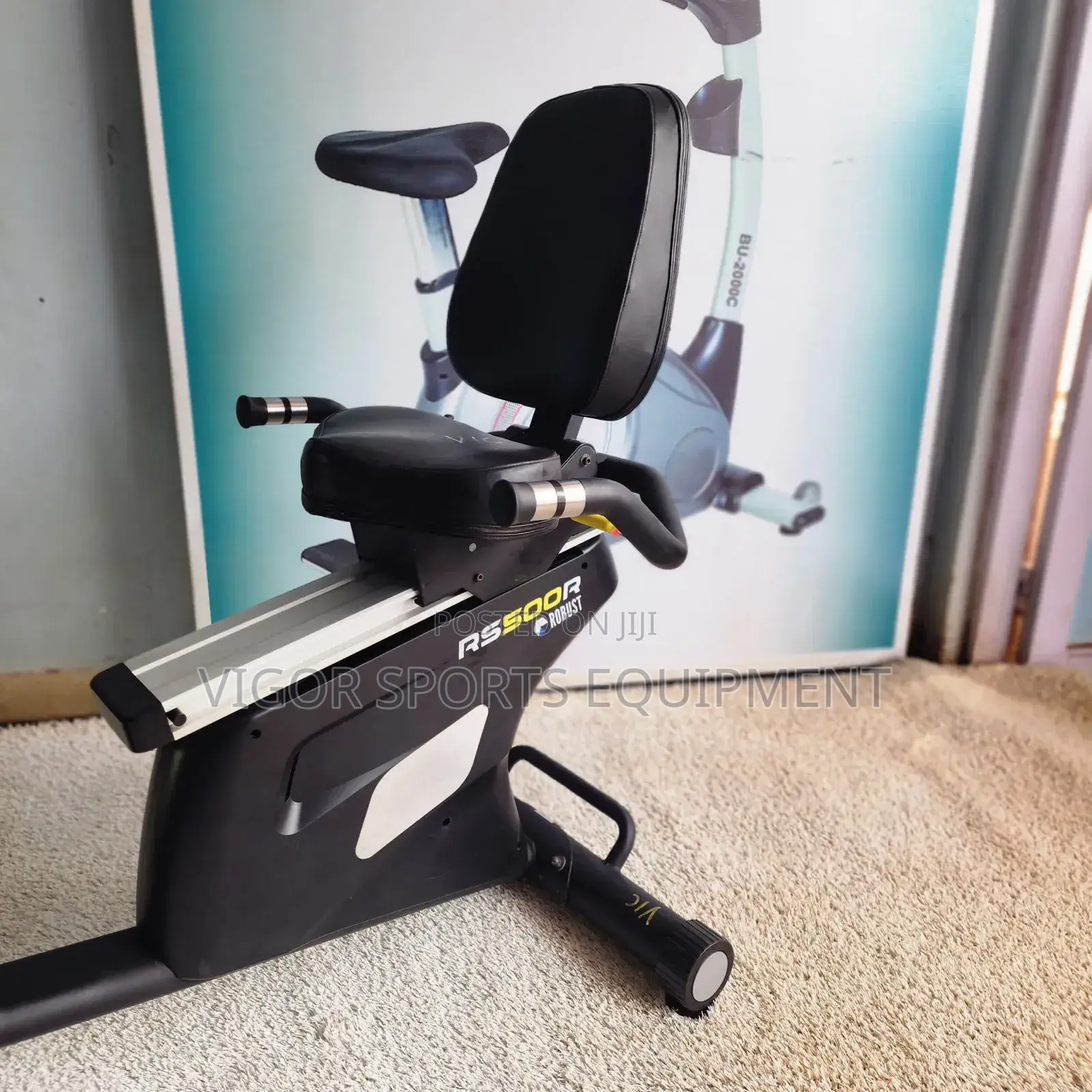 Vigor Recumbent Bike
