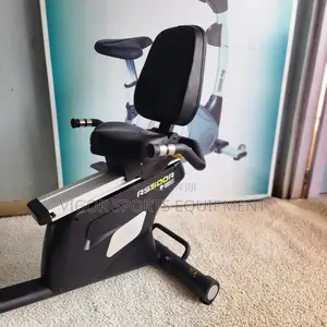 Vigor Recumbent Bike