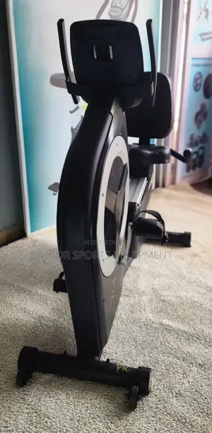 Vigor Recumbent Bike