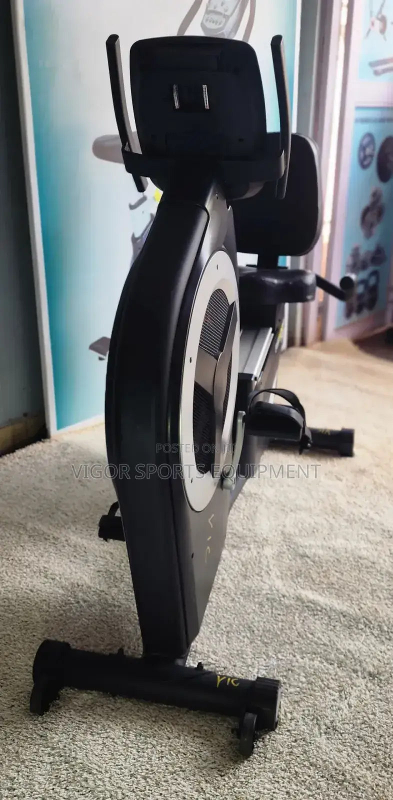 Vigor Recumbent Bike