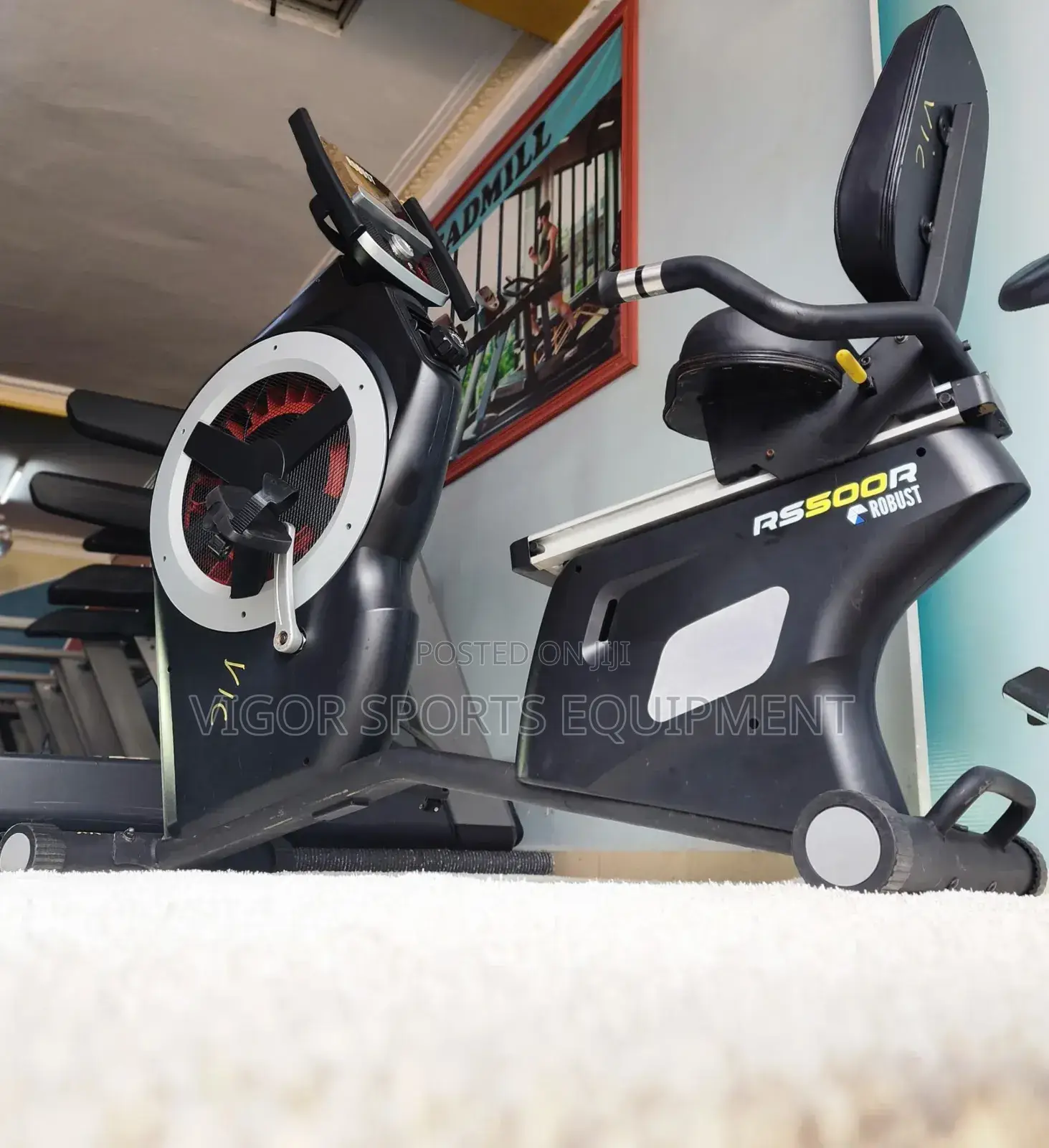 Vigor Recumbent Bike