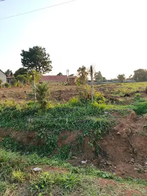 Land for Sale – Lakeview Commercial Plot