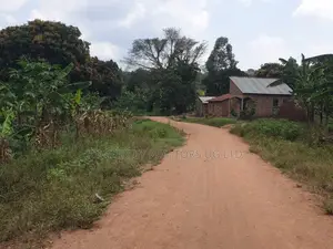 Land for Sale – Semuto