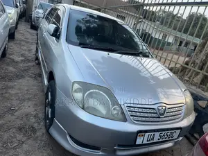 Toyota Allex 2007 Silver