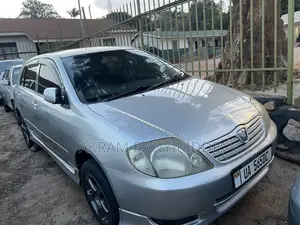 Toyota Allex 2007 Silver