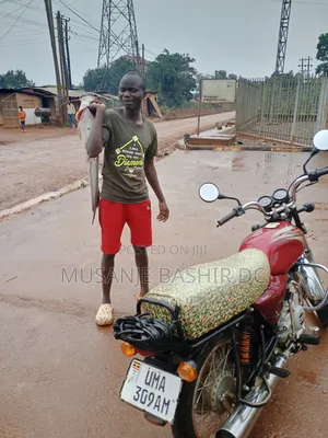 Bajaj Boxer 2025 Red