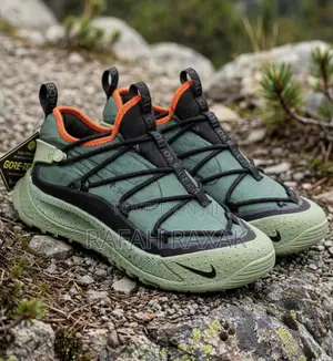 Nike ACG Air Terra Antarktik GTX “Juniper Fog” Hiking Sneakers