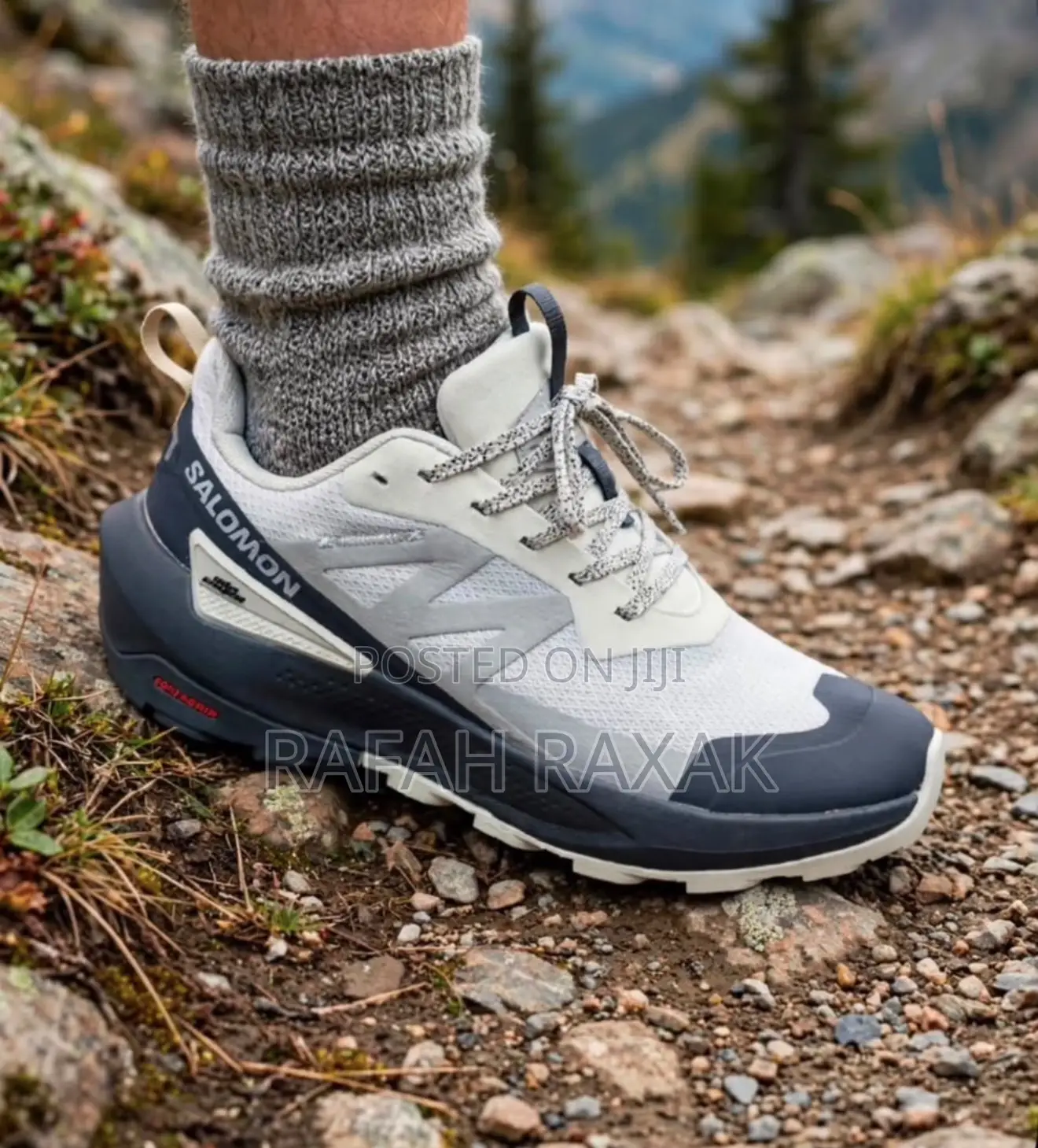 Original Glacier Gray Salomon Elixir Activ GTX Hiking Sneakers