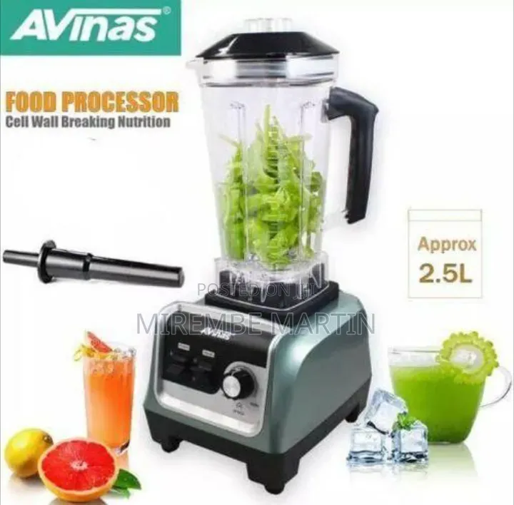 AVINAS High-Power Professional Food Processor and Blender
