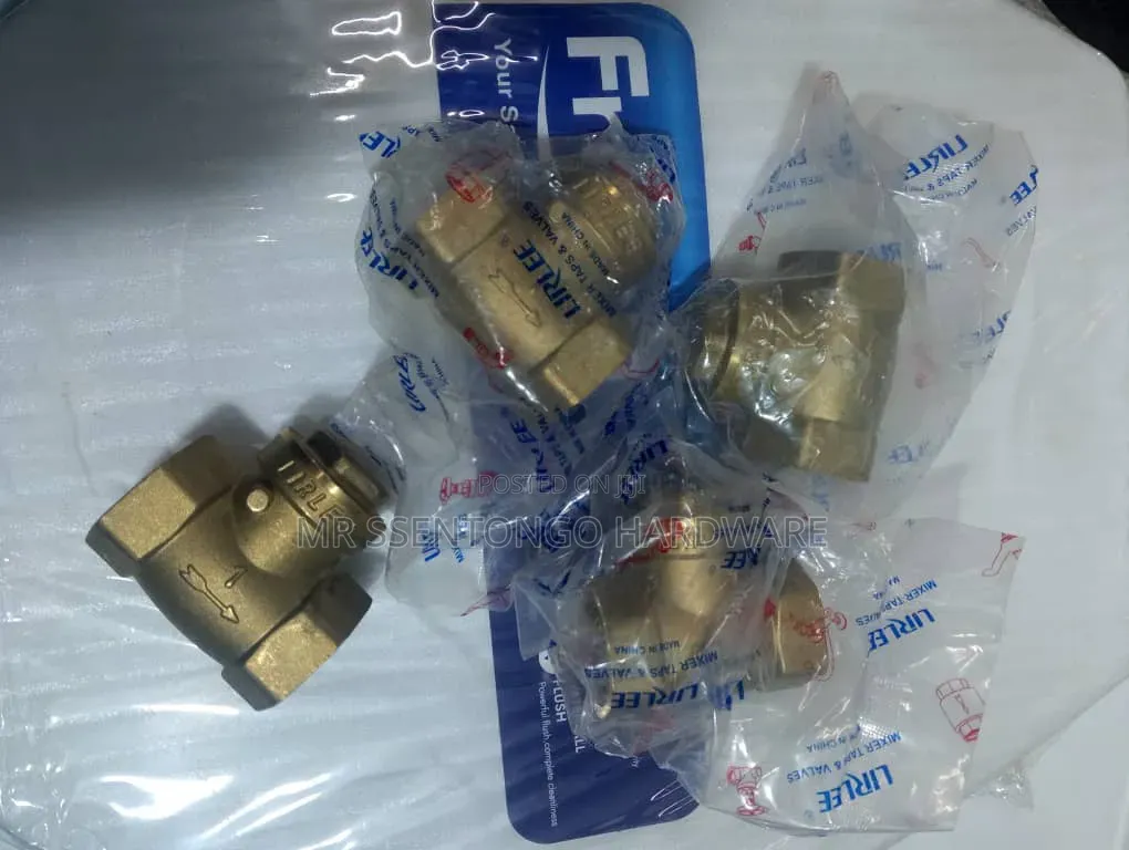 Gi Non Return Valves Size 32" 1 Inch Lirlee Originally for Pump, Tank
