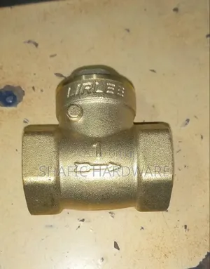 Non Return Valve 1 Inch Gi Lirlee Good Quality (All Types)