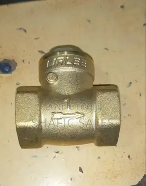 Non Return Valve 1 Inch Gi Lirlee Good Quality (All Types)