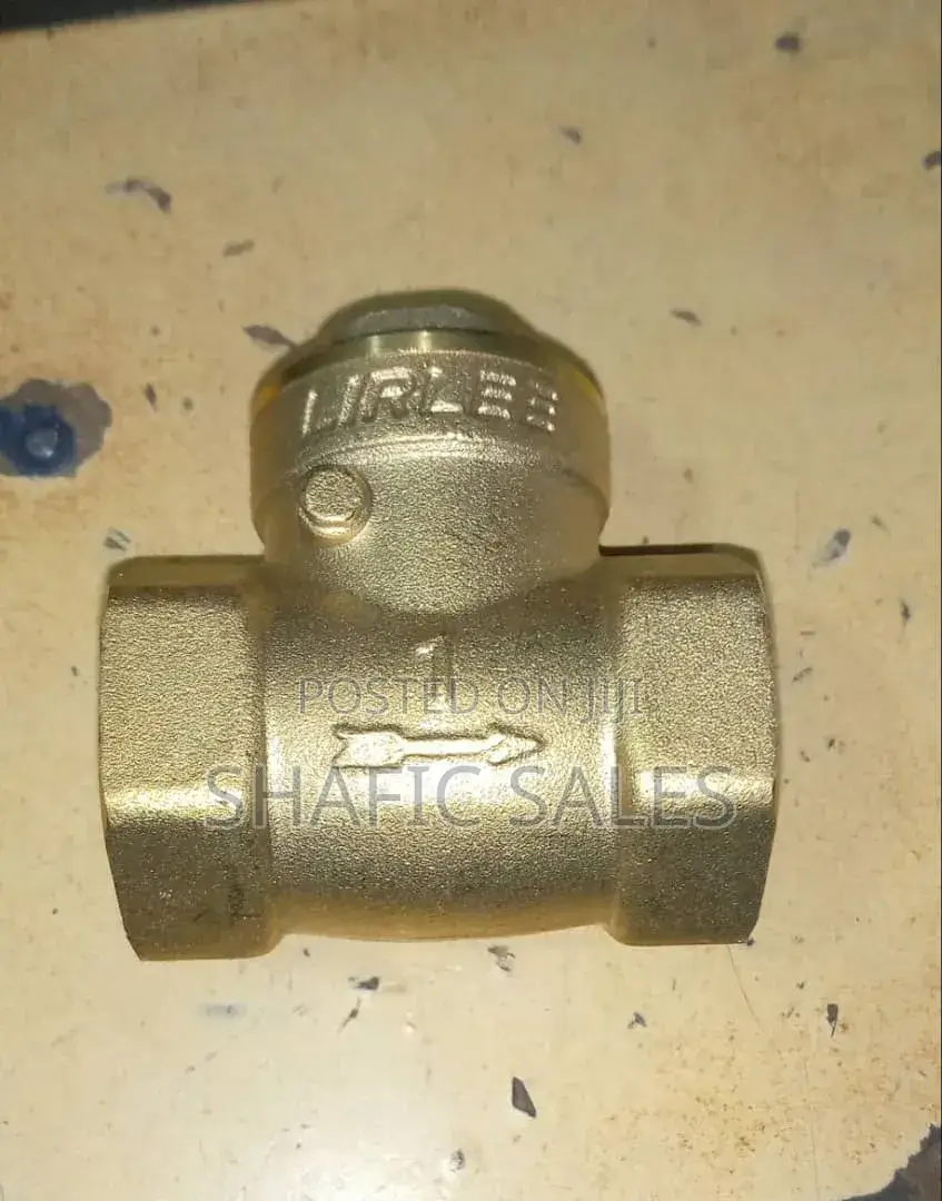 Non Return Valve 1 Inch Original Number 1 Good Quality/ All Size