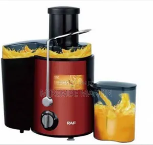 RAF High-Performance Electric Centrifugal Juicer for Fresh Fruits