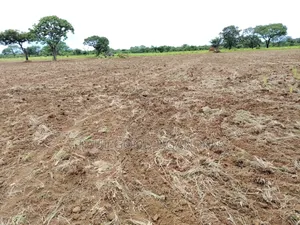 Lovol Tractor (75hp 4wd)