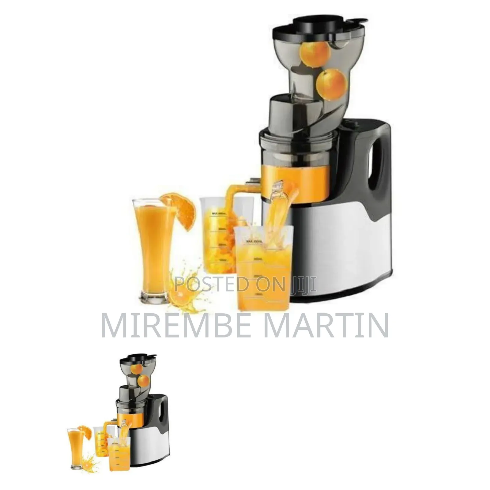Professional Slow Masticating Juicer and Cold Press Extractor