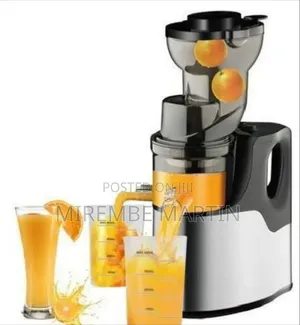 Professional Slow Masticating Juicer and Cold Press Extractor