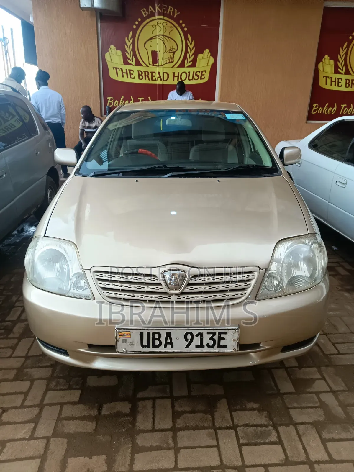 Toyota Allex 2010 Gold