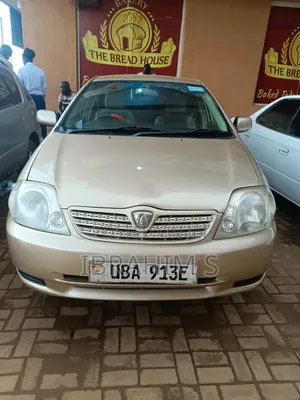 Toyota Allex 2010 Gold