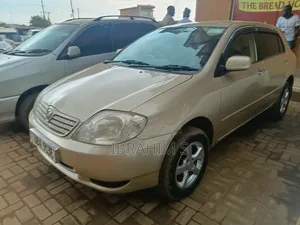 Toyota Allex 2010 Gold