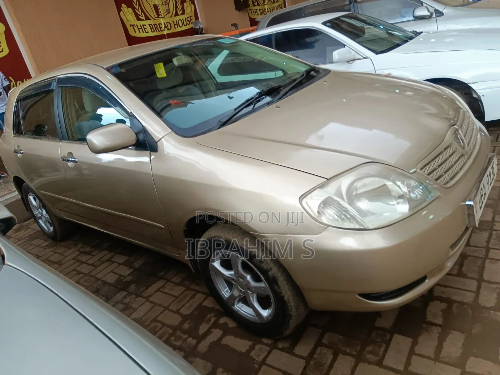 Toyota Allex 2010 Gold