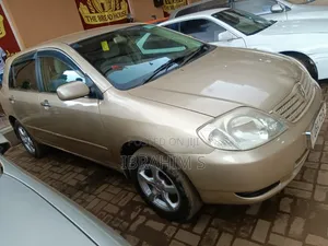 Toyota Allex 2010 Gold