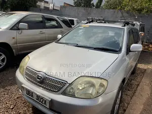 Toyota Corolla Fielder 2006 Silver