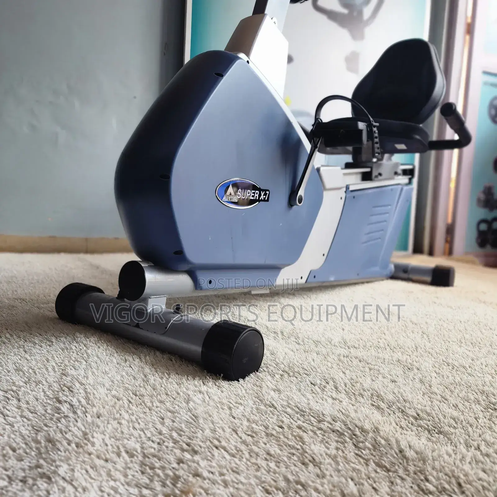 Recumbent Bike