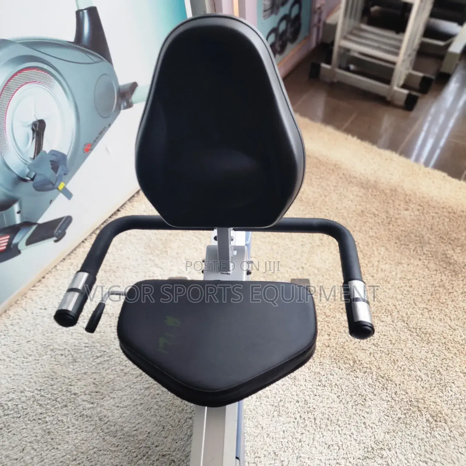 Recumbent Bike