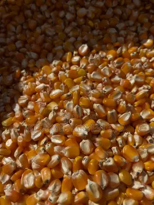 Quality Popcorn Available