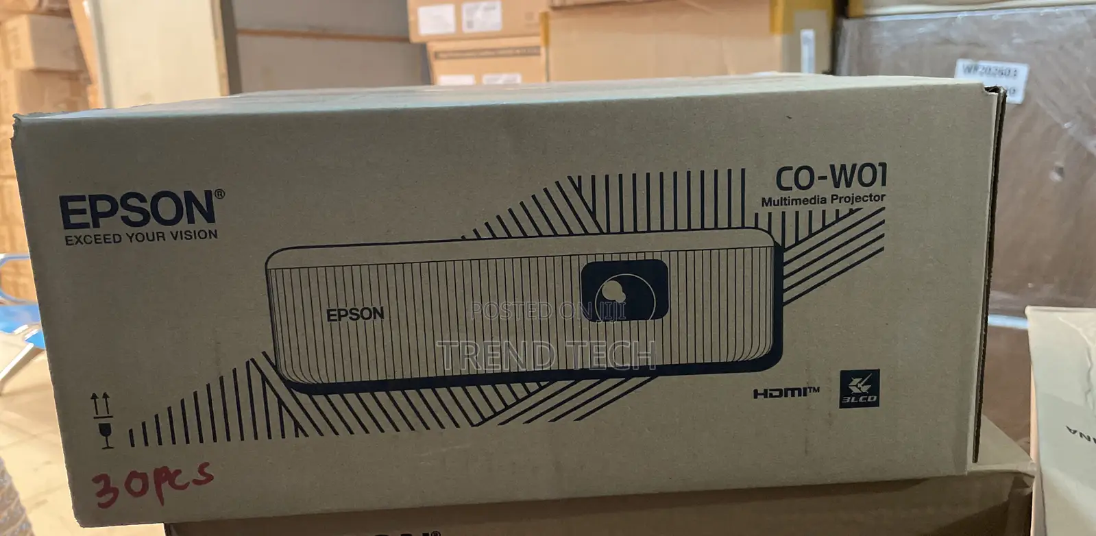 Epson Projector Co-W01