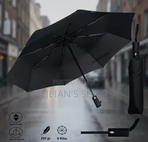 Compact Automatic Travel Umbrella