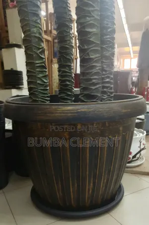 Flower Pot
