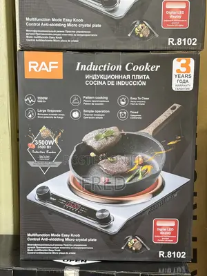 Electric Induction RAF Model R.8102