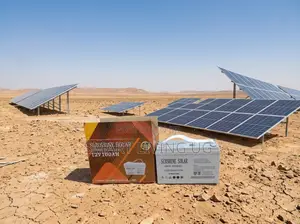 Sunshine 100Ah Battery – Long Lasting Backup