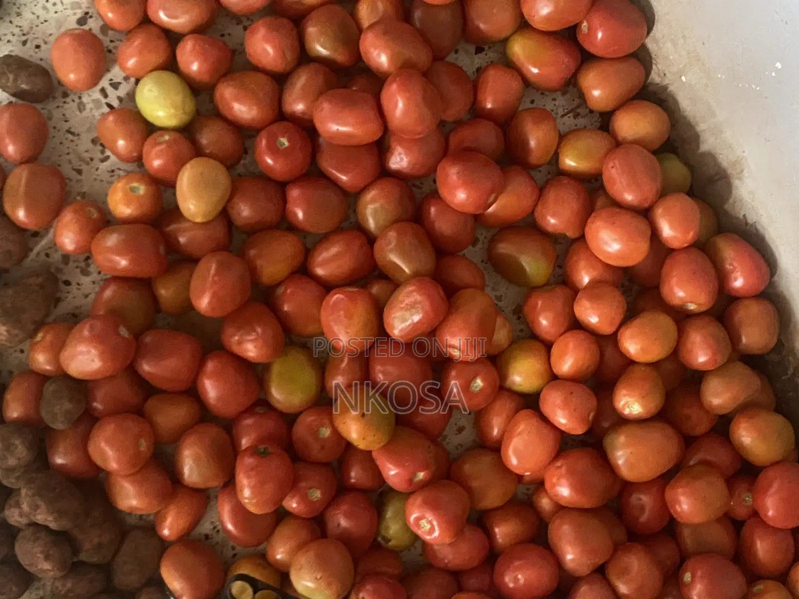 Good Ready Tomatoes