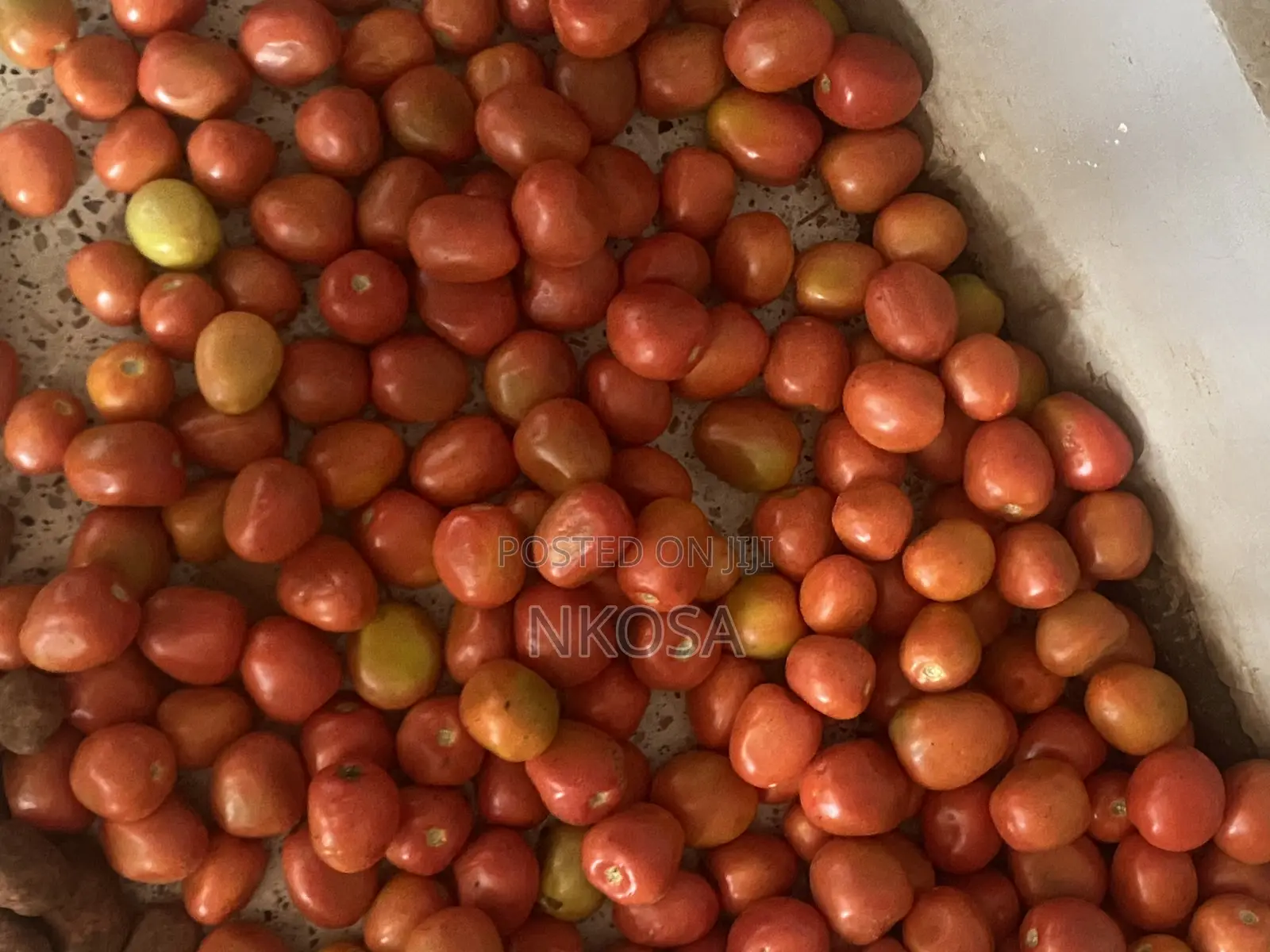 Good Ready Tomatoes