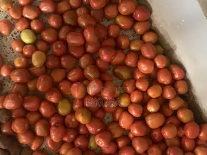 Good Ready Tomatoes
