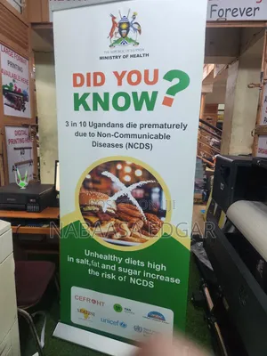 Pull Up/ Roll Up Banners