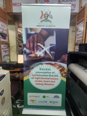 Pull Up/ Roll Up Banners