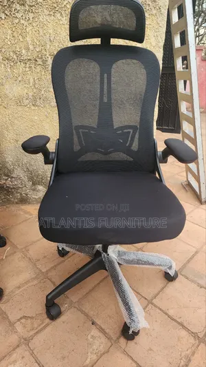 Adjustable Arms Ergonomic Chair
