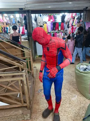 18 and Above Spiderman Costume