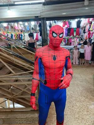 18 and Above Spiderman Costume