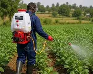 Motorized Knapsack Sprayer Pump
