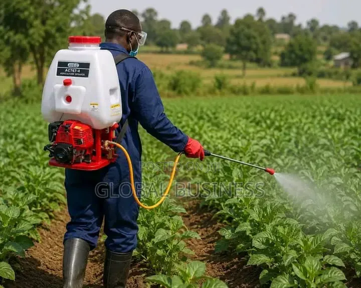 Motorized Knapsack Sprayer Pump