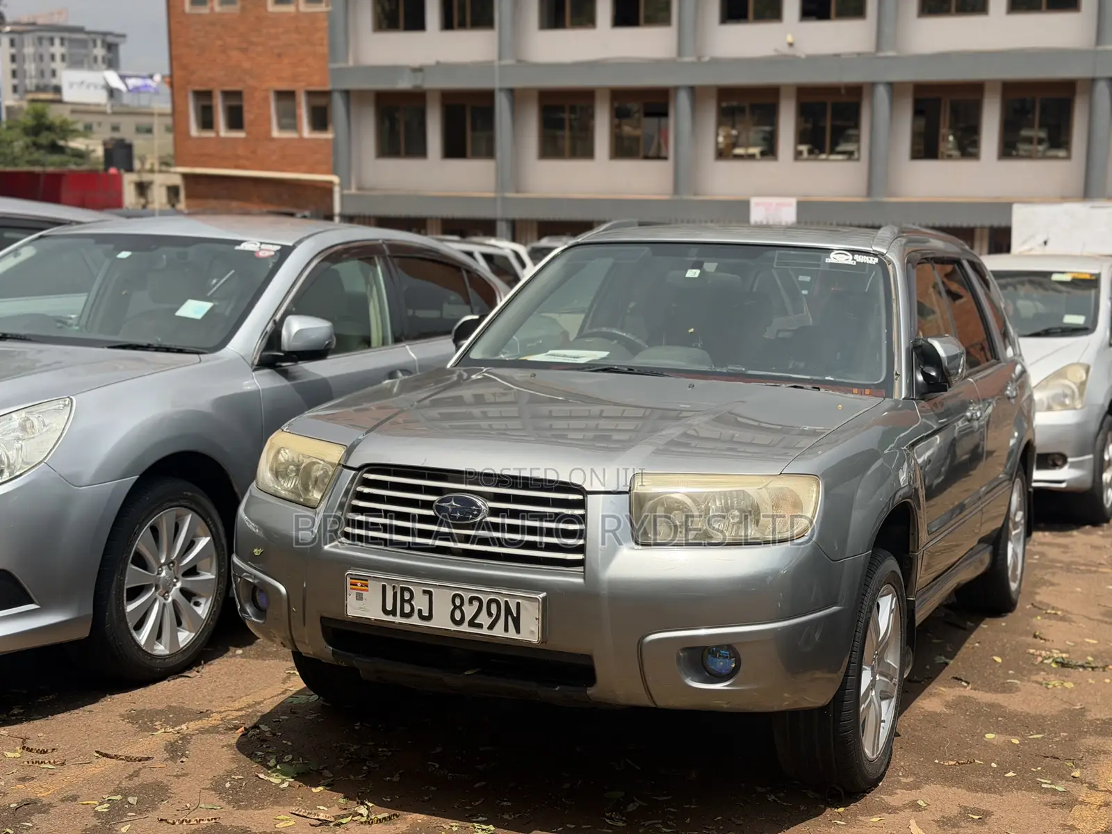 Subaru Forester 2005 Gray