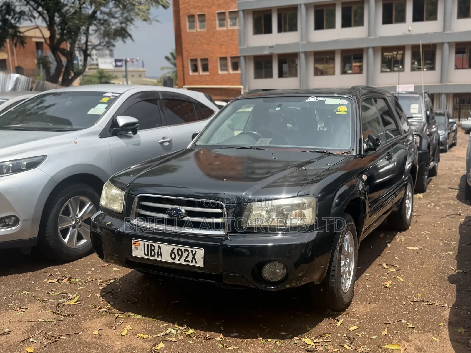 Subaru Forester 2005 Black